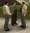 Forelli Brothers