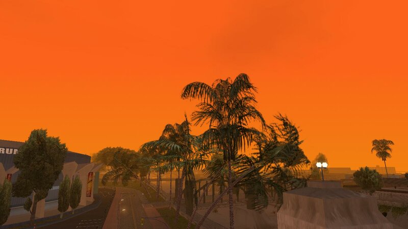 Beta Palm