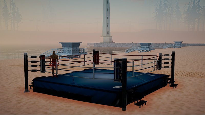 Fight Ring Prop