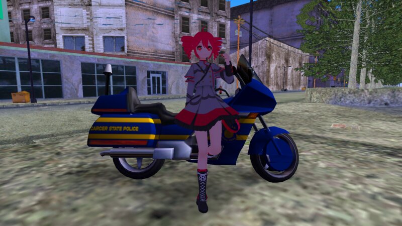 Carcer State Police Bike
