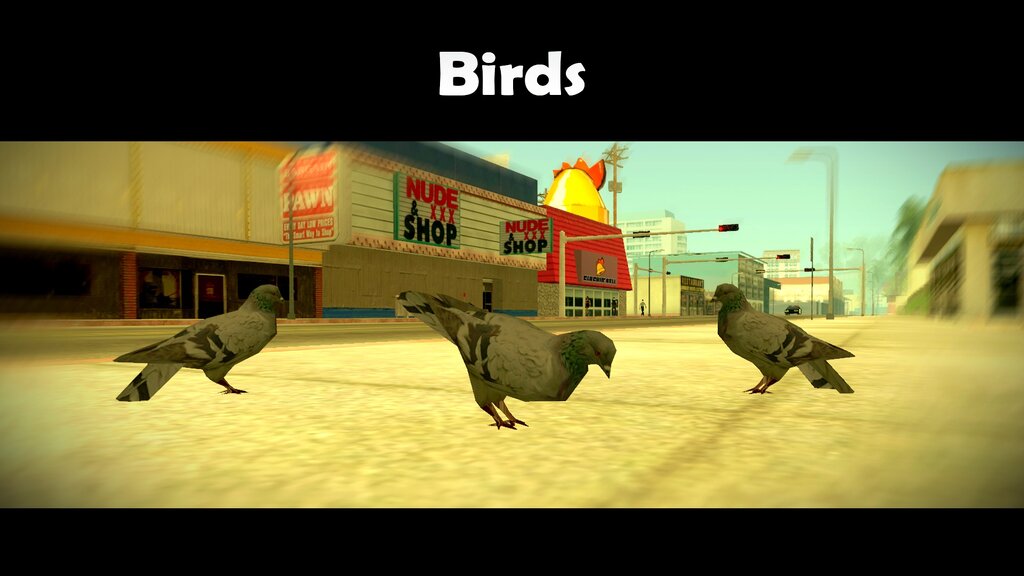 Birds