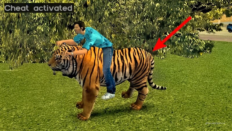 Royal Bengal Tiger Bike (MVL)