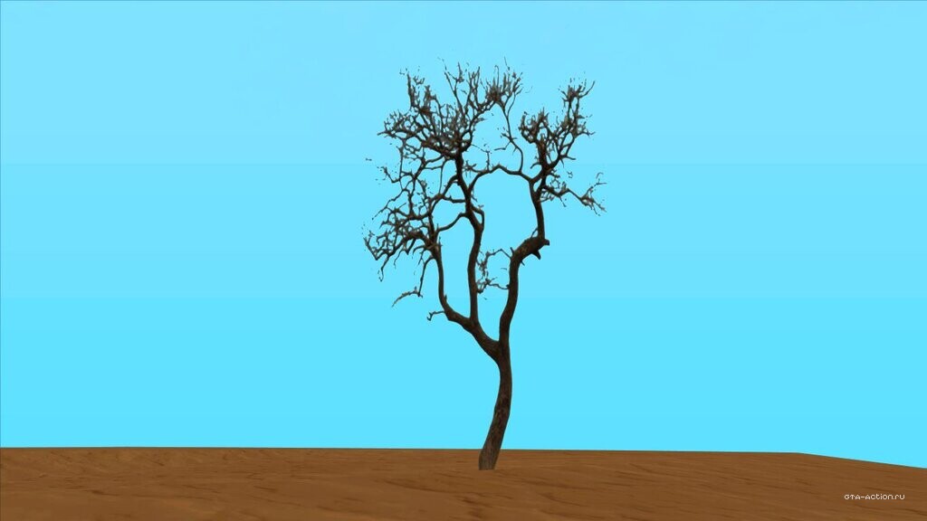 Sahara Desert