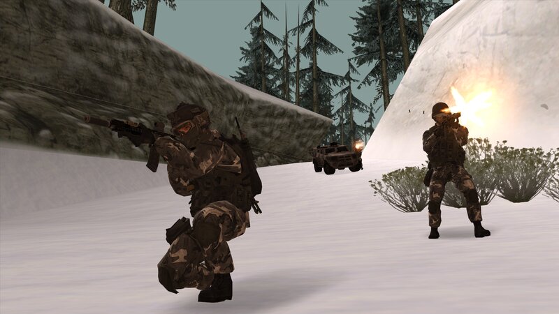 Special Reconnaissance Division (SRD) Snow