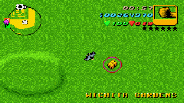 Местонахождение #100 Скрытого Пакета в GTA Advance, найденного в 
 Wichita Gardens