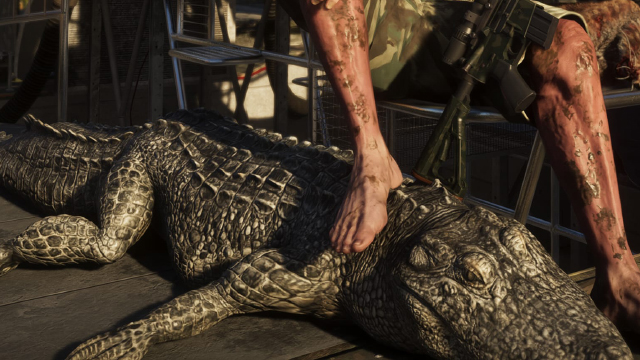 Американский аллигатор - Руководство по животным GTA 6