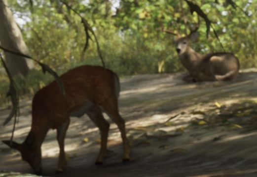 Олень - Руководство по животным GTA 6