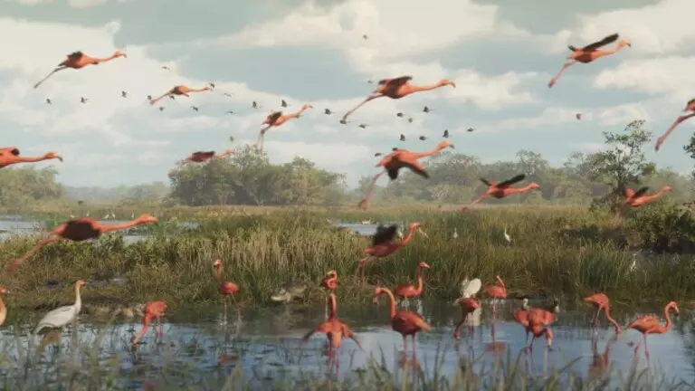 Локация на карте GTA 6 - The Grassrivers