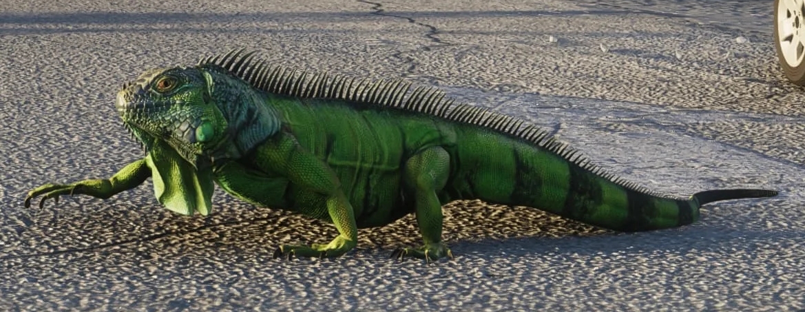 Зеленая игуана - Руководство по животным GTA 6