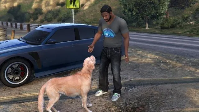 Оценка рисков - Руководство по золотым медалям для Случайных и Странных в GTA 5