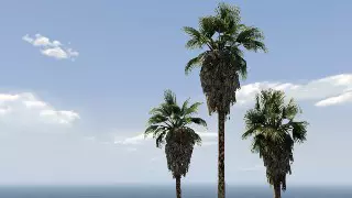 Последняя команда на вылет: Дел Перро Фриуэй LTS