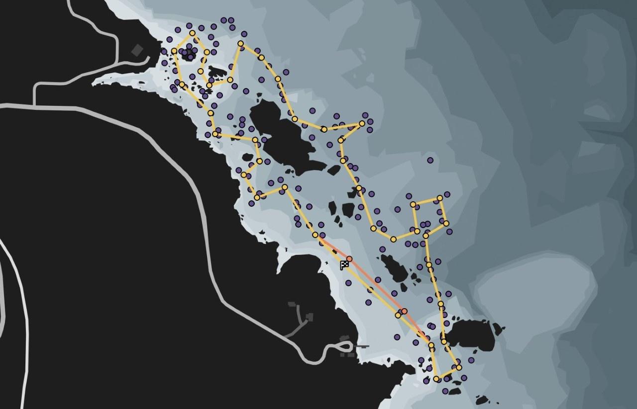 Карта Open Wheel New Wave Открытые Колёса - Новая Волна Карта