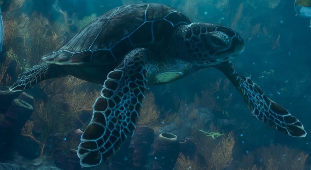 Морская черепаха - Руководство по животным GTA 6