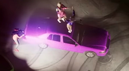 Stanier - База данных автомобилей и транспорта GTA 6