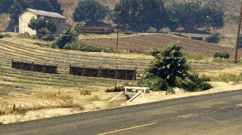 Гонка на байках: Track and Field в GTA Online