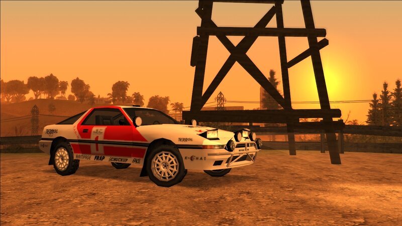 1987 Karin Jester Rallye