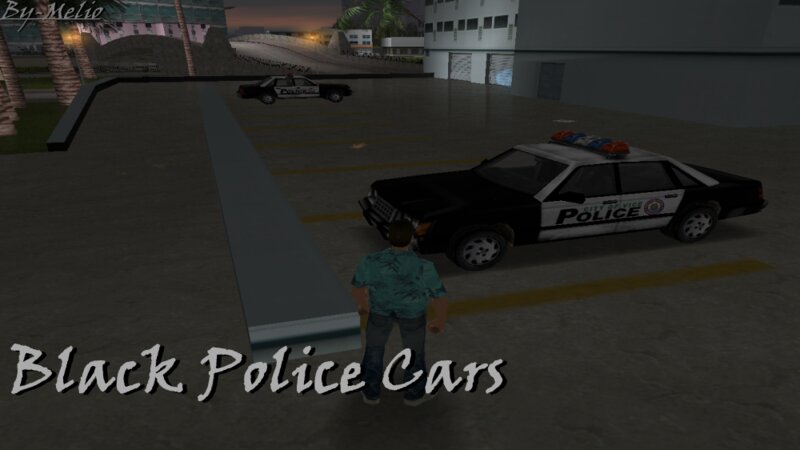Black Police Cars